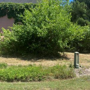 Photo #8 of 15001 WINTERVILLE RD, BLOXOM, VA 9.0 acres