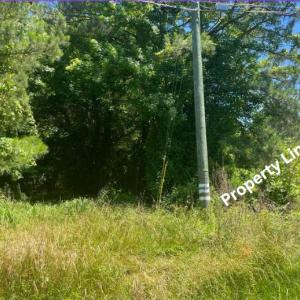 Photo #9 of 15001 WINTERVILLE RD, BLOXOM, VA 9.0 acres