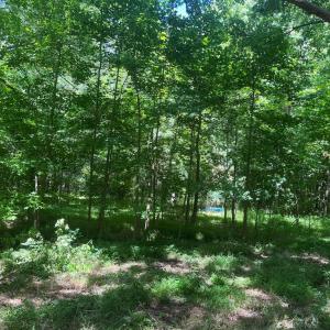 Photo #5 of 15001 WINTERVILLE RD, BLOXOM, VA 9.0 acres