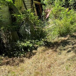 Photo #7 of 15001 WINTERVILLE RD, BLOXOM, VA 9.0 acres