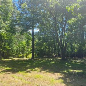 Photo #4 of 15001 WINTERVILLE RD, BLOXOM, VA 9.0 acres