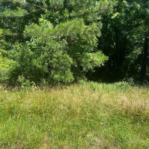 Photo #6 of 15001 WINTERVILLE RD, BLOXOM, VA 9.0 acres