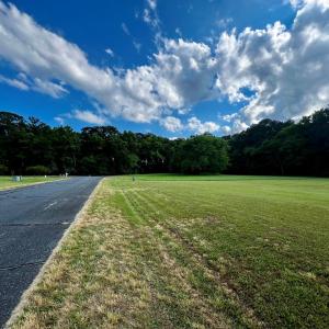 Photo #3 of LOT 45 JUNO COURT, ACCOMAC, VA 3.0 acres