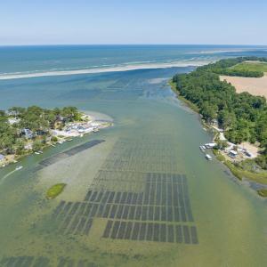 Photo #24 of LOT 9 CANDY LANE, EASTVILLE, VA 0.5 acres