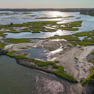 Old Plantation Creek