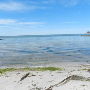 Community Beach