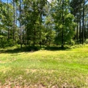 Photo #12 of 26 & 27 PARKER PATH, NEW CHURCH, VA 4.2 acres