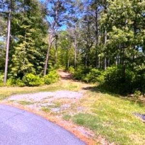 Photo #13 of 26 & 27 PARKER PATH, NEW CHURCH, VA 4.2 acres