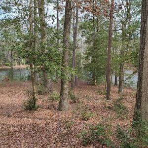Photo #3 of 26 & 27 PARKER PATH, NEW CHURCH, VA 4.2 acres