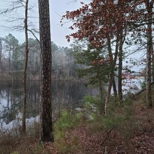 Photo #4 of 26 & 27 PARKER PATH, NEW CHURCH, VA 4.2 acres