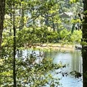 Photo #5 of 26 & 27 PARKER PATH, NEW CHURCH, VA 4.2 acres