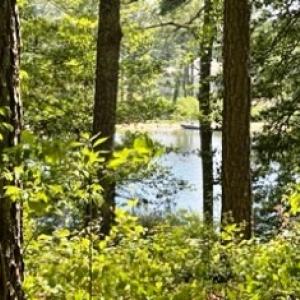 Photo #6 of 26 & 27 PARKER PATH, NEW CHURCH, VA 4.2 acres