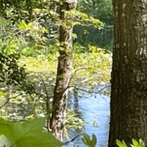 Photo #8 of 26 & 27 PARKER PATH, NEW CHURCH, VA 4.2 acres