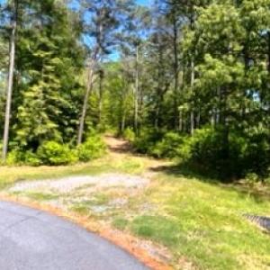 Photo #9 of 26 & 27 PARKER PATH, NEW CHURCH, VA 4.2 acres