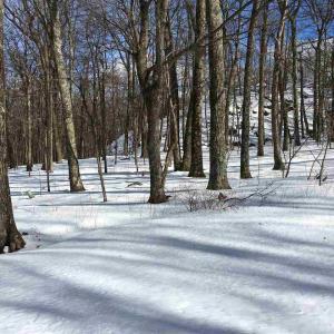 Photo #3 of 117 FAIRWAY OAKS LN, WINTERGREEN RESORT, VA 0.6 acres
