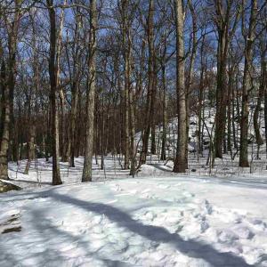 Photo #4 of 117 FAIRWAY OAKS LN, WINTERGREEN RESORT, VA 0.6 acres