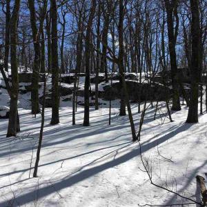 Photo #6 of 117 FAIRWAY OAKS LN, WINTERGREEN RESORT, VA 0.6 acres