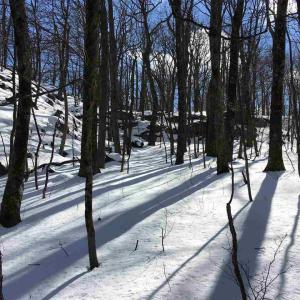 Photo #7 of 117 FAIRWAY OAKS LN, WINTERGREEN RESORT, VA 0.6 acres