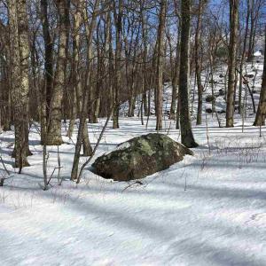 Photo #9 of 117 FAIRWAY OAKS LN, WINTERGREEN RESORT, VA 0.6 acres