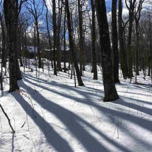 Photo #10 of 117 FAIRWAY OAKS LN, WINTERGREEN RESORT, VA 0.6 acres