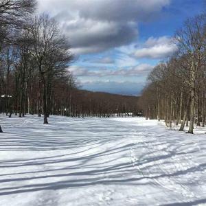 Photo #1 of 117 FAIRWAY OAKS LN, WINTERGREEN RESORT, VA 0.6 acres