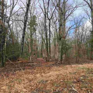 Photo #4 of 503 GARDEN LN, PALMYRA, VA 49.8 acres