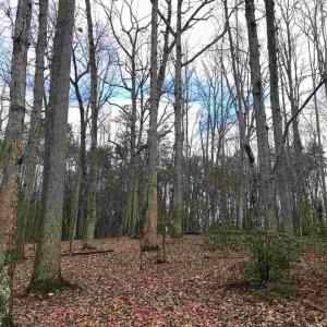 Photo #2 of 503 GARDEN LN, PALMYRA, VA 49.8 acres