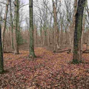 Photo #12 of 503 GARDEN LN, PALMYRA, VA 49.8 acres