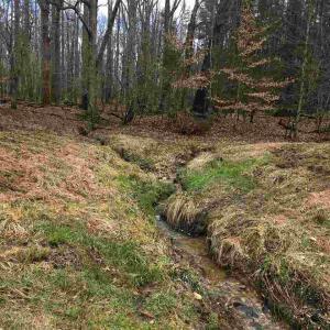 Photo #7 of 503 GARDEN LN, PALMYRA, VA 49.8 acres