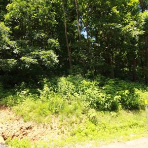 Photo #2 of 340 CHESTNUT PL, WINTERGREEN RESORT, VA 0.6 acres