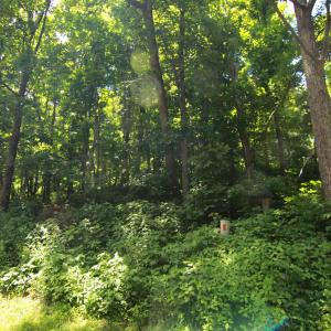 Photo #1 of 340 CHESTNUT PL, WINTERGREEN RESORT, VA 0.6 acres