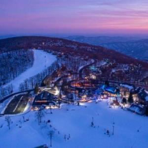 Photo #17 of 340 CHESTNUT PL, WINTERGREEN RESORT, VA 0.6 acres