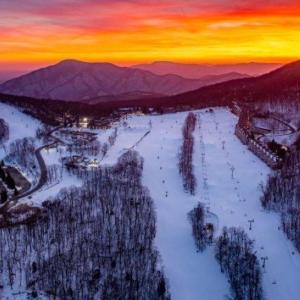 Photo #21 of 340 CHESTNUT PL, WINTERGREEN RESORT, VA 0.6 acres