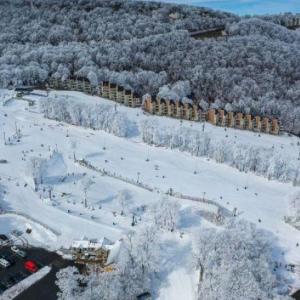 Photo #22 of 340 CHESTNUT PL, WINTERGREEN RESORT, VA 0.6 acres