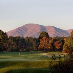 Photo #5 of 340 CHESTNUT PL, WINTERGREEN RESORT, VA 0.6 acres