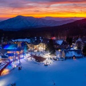 Photo #23 of 340 CHESTNUT PL, WINTERGREEN RESORT, VA 0.6 acres