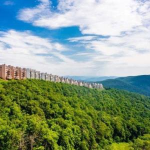 Photo #20 of 340 CHESTNUT PL, WINTERGREEN RESORT, VA 0.6 acres