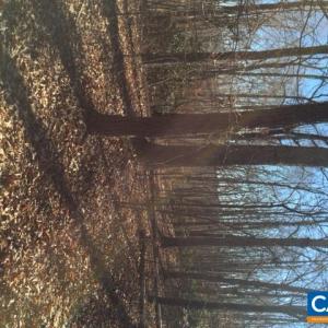 Photo #2 of 00 MILL POND RD, FABER, VA 148.0 acres