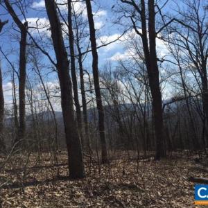 Photo #1 of 00 MILL POND RD, FABER, VA 148.0 acres