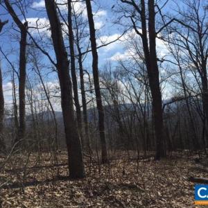 Photo #1 of MILL POND RD, FABER, VA 148.0 acres