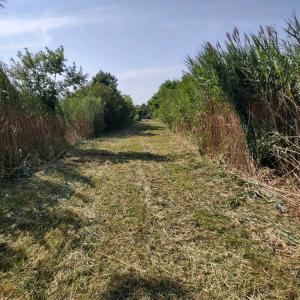 Photo #2 of Lot 1+ MAIN ST, CHINCOTEAGUE, VA 20.2 acres