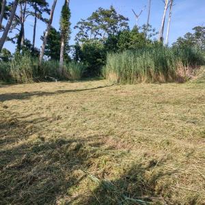 Photo #3 of Lot 1+ MAIN ST, CHINCOTEAGUE, VA 20.2 acres