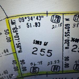 Photo #2 of Lot 255 WILLOW DR, HORNTOWN, VA 0.1 acres