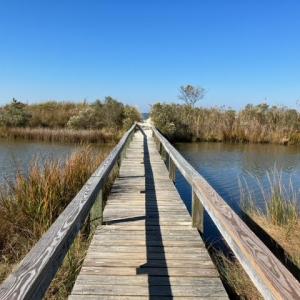 Walkway to the private beach