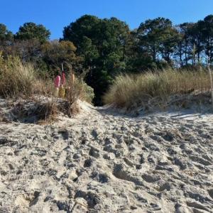 Walking off the beach