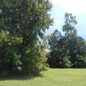 Photo #2 of 203 ARNIE'S LOOP, CAPE CHARLES, VA 0.4 acres