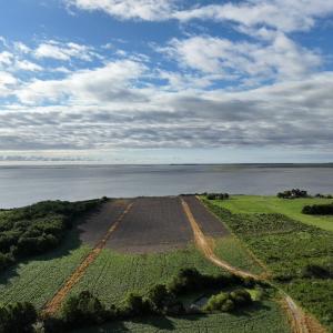 Photo #3 of Lt 1-6&A BELLEVUE CIR, LOCUSTVILLE, VA 25.0 acres