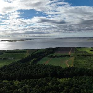 Photo #4 of Lt 1-6&A BELLEVUE CIR, LOCUSTVILLE, VA 25.0 acres