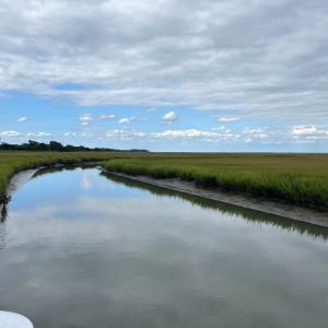 Photo #8 of Lot 57 LEWIS LANE, PARKSLEY, VA 1.1 acres