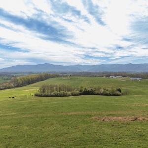 Photo #11 of TBD OLD B AND O RD, RAPHINE, VA 67.6 acres